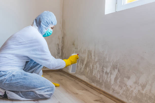 Bathroom Mold Removal assessment in Sanford bathroom