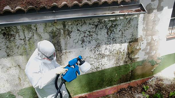 Mold Removal service in Sanford